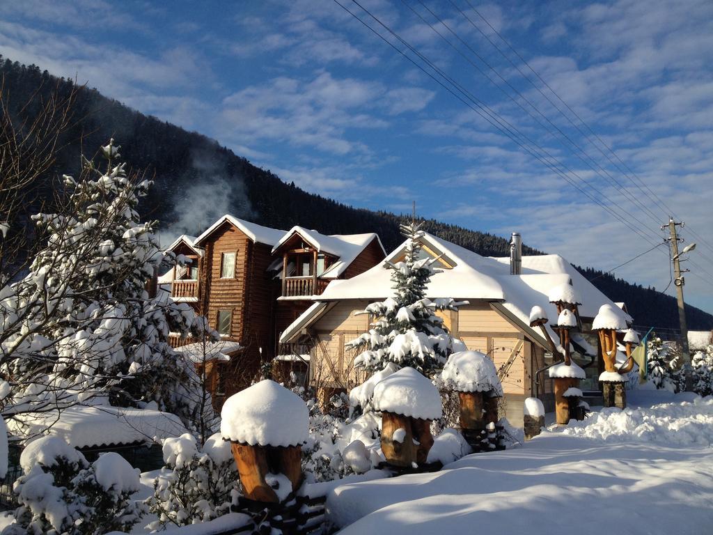 Guest House Anastasia Tatariv Exteriér fotografie